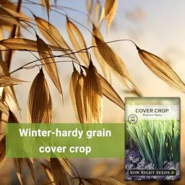 Sow Right Seeds - Winter Oats Seed for Planting - Cover Crops to Plant in Your Home Vegetable Garden - Enriches Soil - Suppresses Weeds - Helps Erosion - Non-GMO Heirloom Seeds - Great Gardening Gift