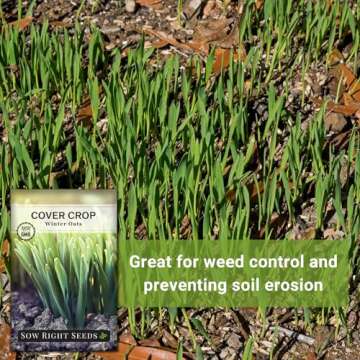 Sow Right Seeds - Winter Oats Seed for Planting - Cover Crops to Plant in Your Home Vegetable Garden - Enriches Soil - Suppresses Weeds - Helps Erosion - Non-GMO Heirloom Seeds - Great Gardening Gift