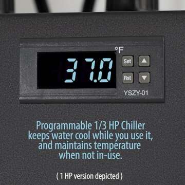 Polar Revive Chiller for Perfect Cold Plunge Experience