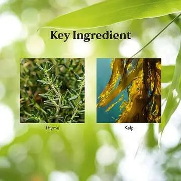 Nature's Sunshine Zinc 25mg, 150 Tablets | Helps Strengthen the Immune System by Providing 167% of the Daily Value of Zinc