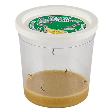 Insect Lore Butterfly Garden Kit for Kids Learning