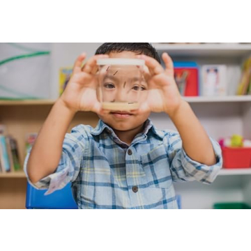 Insect Lore Butterfly Garden Kit for Kids Learning