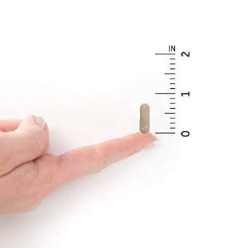 Garden of Life Multivitamin for Men, Vitamin Code Raw One - Once Daily, Vitamins Plus Fruit, Veggies & Probiotics, 75 Count