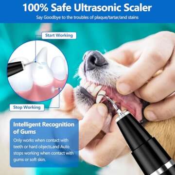 Ni-SHEN Plaque Remover for Teeth - Pet Ultrasonic Cleaner - Teeth Cleaning Kit for Tartar and Stains...
