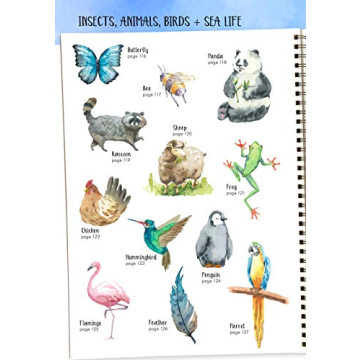 Watercolor Success: Beginner-Friendly Step-by-Step Guide