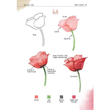 Watercolor Success: Beginner-Friendly Step-by-Step Guide