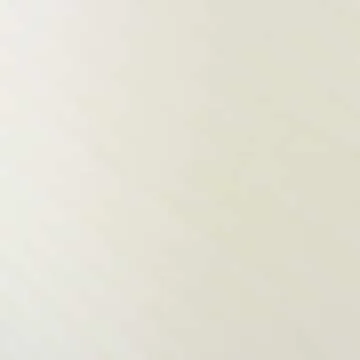 Luxury NEST Grapefruit Scented Candle 21-Ounce Gift