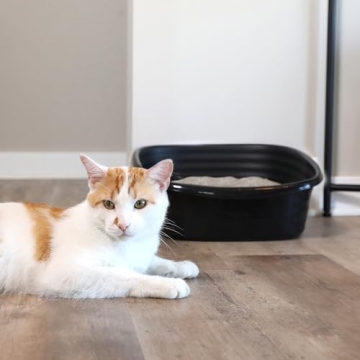 Arm & Hammer Simply Recycled Cat Litter Pan, Jumbo, Easy to Scoop and Clean, Sturdy, Black, Made in USA