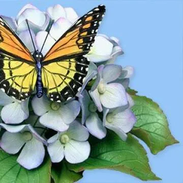 WSA Hydrangea Leaf Cutter Set for Perfect Floral Art