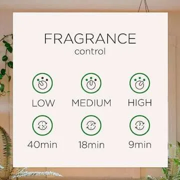 Air Wick Automatic Spray Kit Summer Delights with Refills