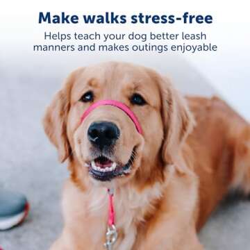 PetSafe Gentle Leader No-Pull Dog Headcollar - The Ultimate Solution to Pulling - Redirects Your Dog's Pulling for Easier Walks - Helps You Regain Control - Large, Silver