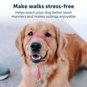 PetSafe Gentle Leader No-Pull Dog Headcollar - The Ultimate Solution to Pulling - Redirects Your Dog's Pulling for Easier Walks - Helps You Regain Control - Large, Silver