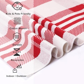 Red and White Christmas Plaid Rug 28x43