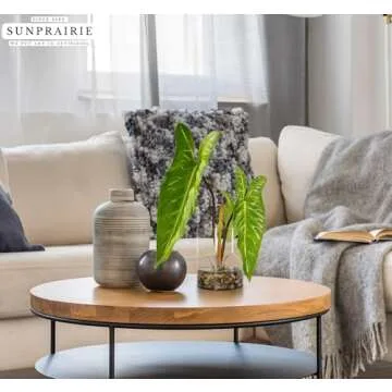 SUNPRAIRIE Realistic Faux Plant in Clear Pot with Artificial Water, Narrow Arrowhead Leaves. Artificial Plants Indoor and Outdoor