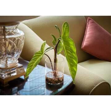 SUNPRAIRIE Realistic Faux Plant in Clear Pot with Artificial Water, Narrow Arrowhead Leaves. Artificial Plants Indoor and Outdoor