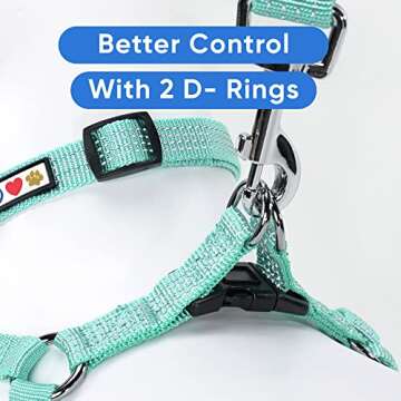 Pawtitas Extra Small Dog Harness Teal Dog Harness Step in from a Senior Dog to a Puppy Harness Adjustable Reflective Dog Harness XS Reflective Dog Vest