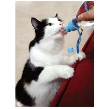 Choco Nose Patented Portable No-Drip Travel Water Bottle/Feeder for Dogs/Puppies/Cats/Rabbits and Other Small Sized Animals -8 oz. Leak-Proof Nozzle 16mm, Blue (H258)