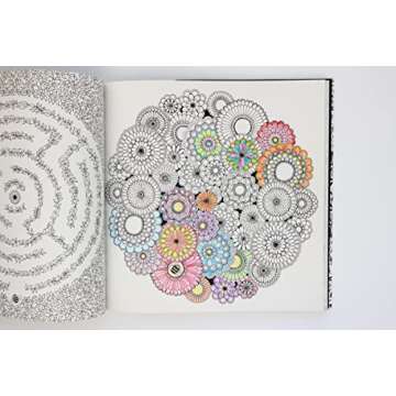 Secret Garden: An Inky Treasure Hunt and Coloring Book for Adults