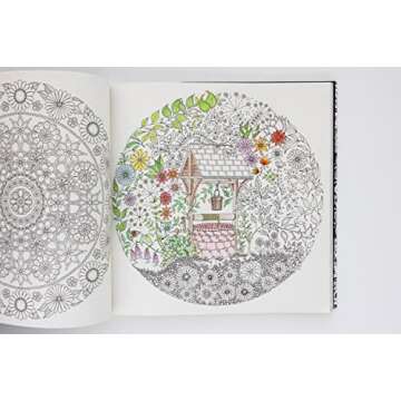 Secret Garden: An Inky Treasure Hunt and Coloring Book for Adults