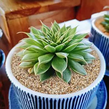 Onlyfire Silica Sand for Fire Pits Gardens Outdoor Use