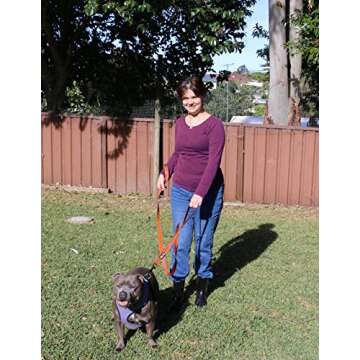 Primal Pet Gear Dog Leash 6ft Long,Traffic Padded Two Handle,Heavy Duty,Reflective Double Handles Lead for Control Safety Training,Leashes for Large Dogs or Medium Dogs,Dual Handles Leads(Orange)