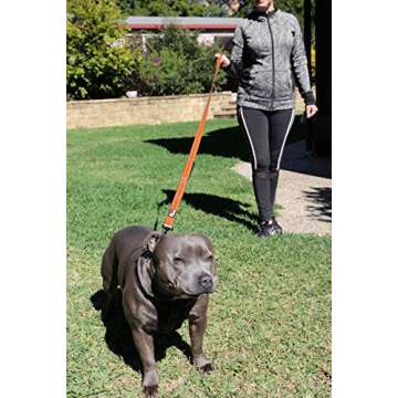 Primal Pet Gear Dog Leash 6ft Long,Traffic Padded Two Handle,Heavy Duty,Reflective Double Handles Lead for Control Safety Training,Leashes for Large Dogs or Medium Dogs,Dual Handles Leads(Orange)