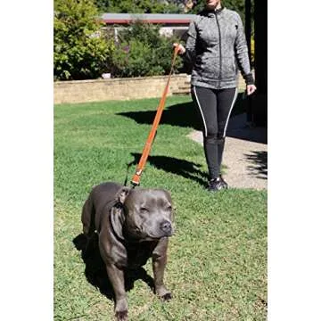 Primal Pet Gear Dog Leash 6ft Long,Traffic Padded Two Handle,Heavy Duty,Reflective Double Handles Lead for Control Safety Training,Leashes for Large Dogs or Medium Dogs,Dual Handles Leads(Orange)