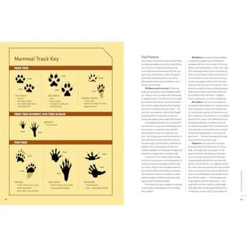 What's Killing My Chickens?: The Poultry Predator Detective Manual