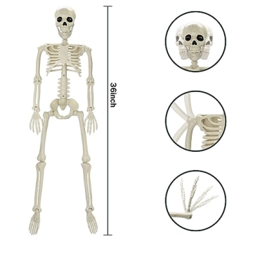 36" Halloween Skeleton - Posable Decor for Spooky Fun