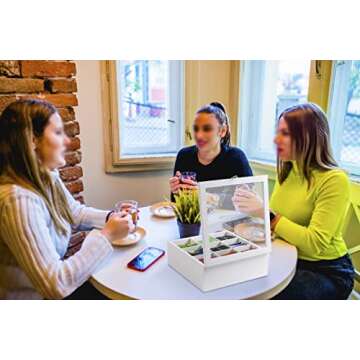 handrong Tea Box Tea Bag Organizer Wooden Tea Bag Holder Modern Tea Caddy Chest with 9 Compartments and Glass Cover for Home Office Use