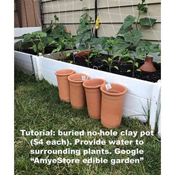 2025 Asian Bitter Gourd Seeds for Vegetable Gardening