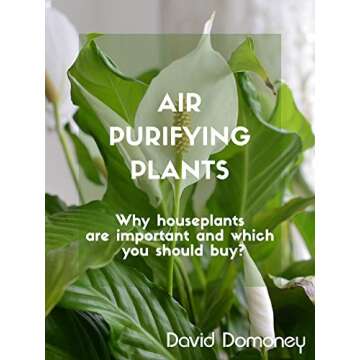 Air Purifying Houseplants