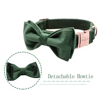 Stylish Velvet Dog Collar with Bowtie for All Occasions