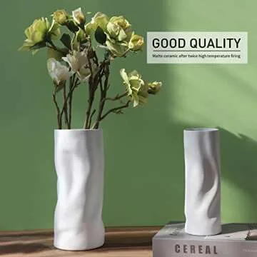 Abbittar Ceramic Vase Set of 2 for Home Decor