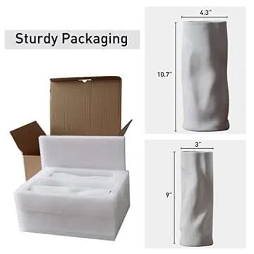 Abbittar Ceramic Vase Set of 2 for Home Decor