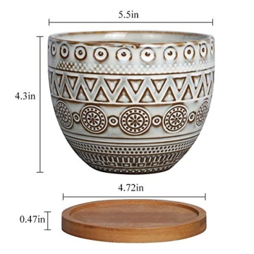 G EPGardening 5.5in Round Ceramic Planter Set of 2