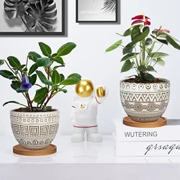 G EPGardening 5.5in Round Ceramic Planter Set of 2