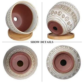 G EPGardening 5.5in Round Ceramic Planter Set of 2