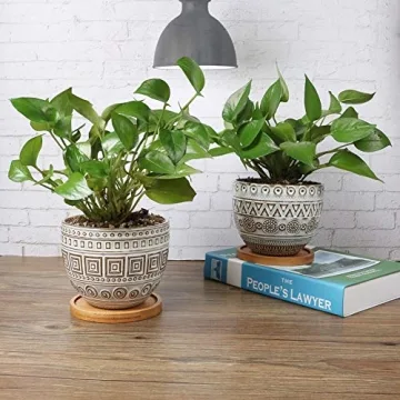 G EPGardening 5.5in Round Ceramic Planter Set of 2