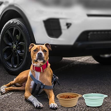 Collapsible Dog Bowl for Easy Feeding on the Go