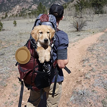 Collapsible Dog Bowl for Easy Feeding on the Go