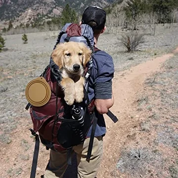Collapsible Dog Bowl for Easy Feeding on the Go