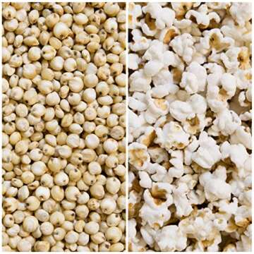 NATURE NATES Coconut Oil & Pink Himalayan Popped Sorghum, 4.3 OZ