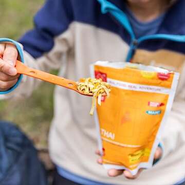 GOOD TO-GO Pad Thai | Camping Food, Backpacking Food (Double Serving) | Just Add Water Meals, Backpacking Meals | Dehydrated Meals Taste Better Than Freeze Dried Meals