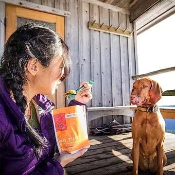 GOOD TO-GO Pad Thai | Camping Food, Backpacking Food (Double Serving) | Just Add Water Meals, Backpacking Meals | Dehydrated Meals Taste Better Than Freeze Dried Meals