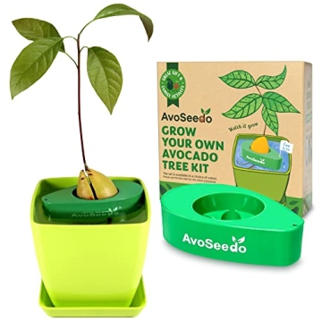 AvoSeedo Avocado Tree Growing Kit with Pot, Green, Practical Gifts for Women, Mom, Sister, Best Frie...