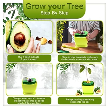 AvoSeedo Avocado Tree Growing Kit with Pot, Green, Practical Gifts for Women, Mom, Sister, Best Friend & Kids, Plant Indoors with Novelty Pit Grower Boat & Kitchen Garden Seed Starter