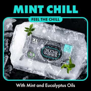 DUDE Wipes - Flushable Wipes Travel Pack - 6 Pack, 108 Wipes - Mint Chill Extra-Large Adult Wet Wipes - Vitamin-E, Aloe Vera, Eucalyptus, and Tea Tree Oils - Septic and Sewer Safe Butt Wipes