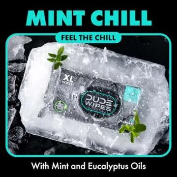 Dude Wipes - Mint Chill Travel Flushable Wipes Pack 108