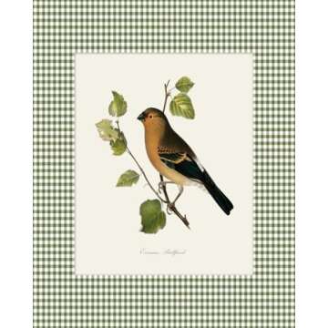 Vintage Bird Prints Set for Unique Home Decor